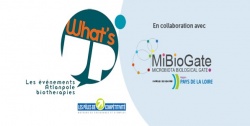 Whats's Up Microbiote & Santé